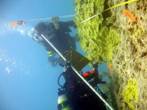Scientists monitor coral reefs as part of the Coral Reef Assessment and Monitoring Program (CRAMP).