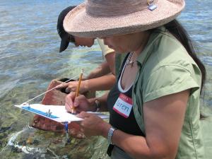 Combining ocean science literacy and local knowledge are one of COSEE-IE’s top priorities (C.Wiener)
