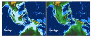 The exposed Sunda Shelf greatly influenced tropical climate. Image credit, Pedro DiNezio