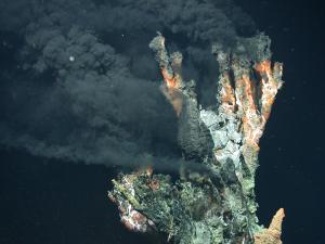 Microbiomes are a vital component of all ecosystems, including in the deep-sea. Credit: MARUM, Bremen