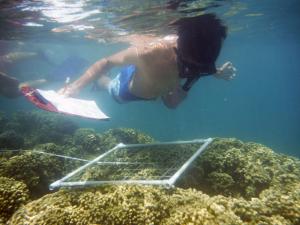 Students survey the reef in Kaneohe Bay