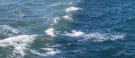 Image illustrating 2 rivers in the ocean