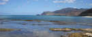 photograph of shore line at low tide display parts of the reef above water