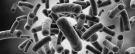 image showing marine microbes