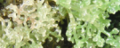 image for biological sciences