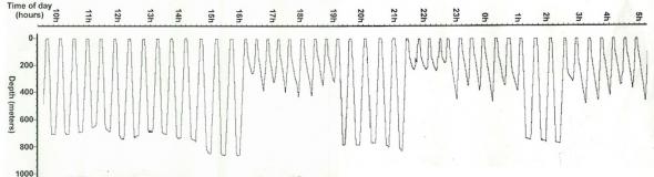 <p><strong>Fig. 6.22.</strong>&nbsp;(<strong>B</strong>) Graph illustrating the time and depth of diving behavior by the same male northern elephant seal</p>
