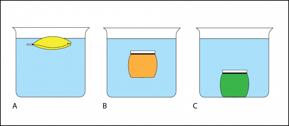 <p><strong>Fig. 2.3. </strong>(<strong>A</strong>) The bag filled with yellow liquid is floating on the surface. (<strong>B</strong>) The bag filled with orange liquid is floating in mid-water (subsurface floating). (<strong>C</strong>) The bag filled with green liquid has sunk to the bottom of the beaker.</p>