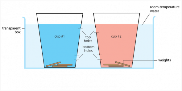 <p><strong>Fig. 2.19.</strong> Model system to simulate thermohaline circulation</p>
