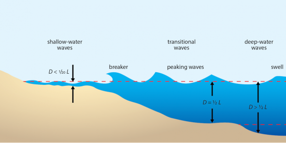 <p><strong>Fig. 4.20.</strong> Waves change as they approach the shore.</p>
