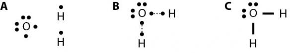<p><strong>Fig. 2.29.</strong> (<strong>A</strong>) To make water, oxygen needs two additional electrons, which it can share with two hydrogens, which each need only one additional electron. (B) Single electrons match up to make pairs. (<strong>C</strong>) Lines between the paired electrons represent bonds.</p>