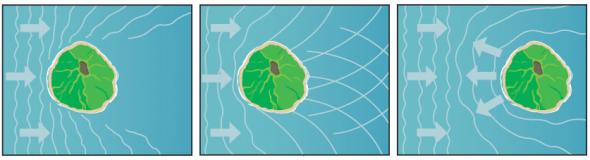 <p><strong>Fig. 2.13.</strong>&nbsp;(<strong>B</strong>) Islands can block, refract, or reflect waves and ocean swells.</p>
