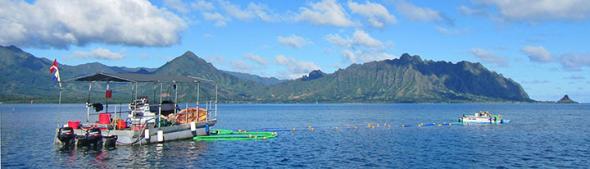 <p><strong>SF Fig. 2.6. </strong>(<strong>A</strong>) The Super Sucker barge in Kāne‘ohe Bay, Hawai‘i</p>
