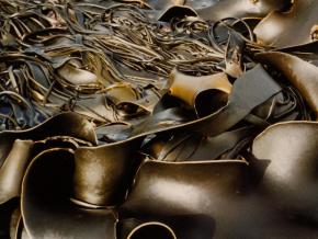 <p><strong>Fig. 2.21.</strong>&nbsp;(<strong>D</strong>) Antarctic Kelp, <em>Durvillaea Antarctica</em>, blades</p>
