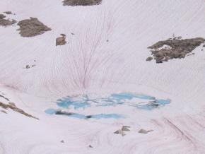<p><strong>Fig. 2.29.</strong> (<strong>A</strong>) Distant view of watermelon snow (<em>Chlamydomonas nivalis</em>)</p>
