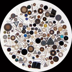 <p><strong>Fig. 2.34.</strong> (<strong>A</strong>) Diatoms are small, silicon rich phytoplankton found throughout the world in a wide variety of shapes and patterns.</p>
