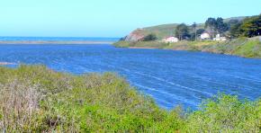 <p><strong>Fig. 3.25.</strong>&nbsp;(<strong>B</strong>) Example of Langmuir currents, Rodeo Lagoon, California</p>
