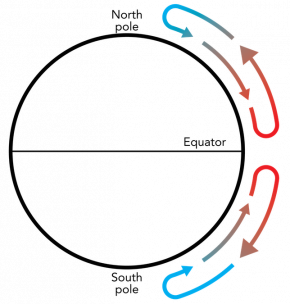 <p><strong>Fig. 3.7.</strong> Hypothetical simplified atmospheric circulation between the equator and poles if the earth did not rotate. Hot, moist, less-dense air masses rise at the equator and becoming cold, dry, and more dense before sinking at the poles.</p>
