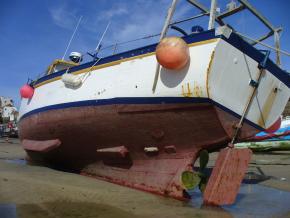 <p><strong>Fig. 4.22. (A)</strong> The keel of boat stabilizes the boat, similar to a fish’s anal fin</p>
