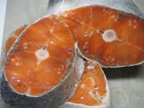 <p>(A) Side view of salmon skeletal</p>

