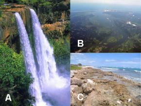 <p><strong>Fig. 2.12.</strong> (<strong>A</strong>) Wailua Falls, Kaua&lsquo;i, Hawai&lsquo;i (<strong>B</strong>) Columbia River estuary, Oregon (<strong>C</strong>) Barber&rsquo;s Point tide pools, O&lsquo;ahu, Hawai&lsquo;i</p>