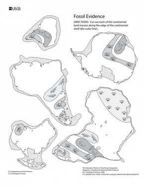 <p><strong>Fig 7.19.</strong> Some of the landmasses of the ancient supercontinent Gondwanaland show selected geological and fossil evidence.</p>
