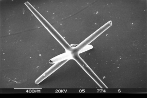 <p><strong>SF Fig. 7.11.</strong>&nbsp;(<strong>C</strong>) Sponge spicule with scale bar indicating 0.4 mm</p>
