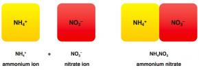 <p><strong>Fig. 2.31.</strong>&nbsp;(<strong>B</strong>) The formation of ammonium nitrate</p>
