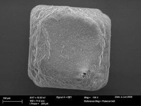 <p><strong>SF Fig. 2.2.&nbsp;</strong>(<strong>B</strong>) Individual sodium chloride (NaCl) table salt crystal as viewed under a powerful scanning electron microscope.</p>
