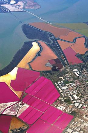 <p><strong>SF Fig. 2.4.</strong> (<strong>C</strong>) Aerial view of evaporation ponds near southern San Francisco Bay, California.</p>
