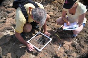 <p><strong>Fig. 2.6. </strong>(<strong>B</strong>) Ecologists using a quadrat to sample and count intertidal organisms.</p>
