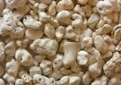 <p>Coral fragment gravel from Jeju-do Island, South Korea</p>
