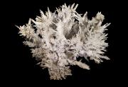<p><strong>E.</strong> Aragonite</p>