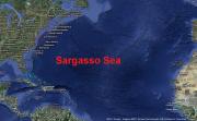 <p><strong>Fig. 1.5. </strong>(<strong>C</strong>)&nbsp;the Sargasso Sea</p>