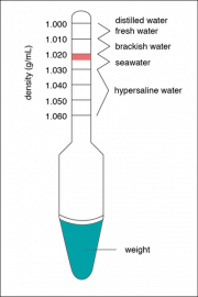 <p><strong>Fig. 2.14.</strong> A hydrometer used to determine water densities in g/mL. The pink shaded region indicates the optimum density of saltwater aquaria at an average temperature of 20˚C to 25˚C.</p>