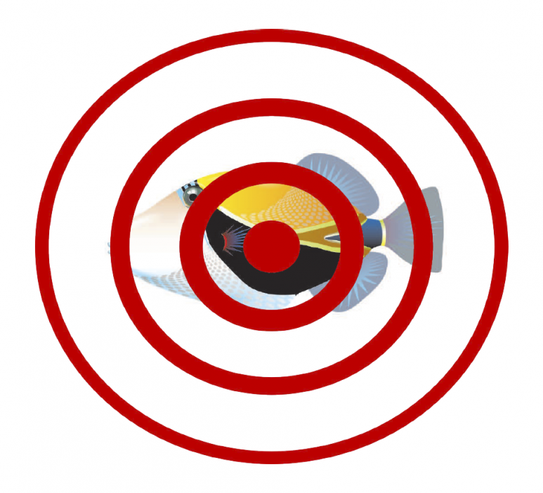 <p>Fig. 3. Use this target to test your echolocation skills! (Note: you can also find this image in the attached worksheet)</p>