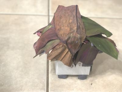 <p>Fig. 4. Student cardboard house retrofitted with plant leaves for water-resistance, and playdough stilts to withstand flooding.</p>