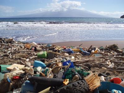 <p>Fig. 2. Marine debris washed up and scattered on a beach in Kanapou Bay, Hawai'i.&nbsp;</p>