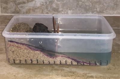 <p>Fig. 5. After wave-force action on sand with balancing force of rock wall, the sandy beach slope is marked in purple marker. Notice the comparison to the original, black line slope, and the after slope, in red, of the plain beach trial.</p>