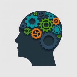 <p>Fig. 1. Animals, such as humans, are exposed to various stimuli and that information is processed in the brain.</p>