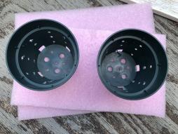 <p>Fig. 5. Holes in your plant container will allow for water flow and help roots grow long and healthy.</p>