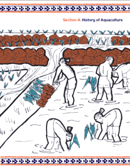 <p>Fig. 2. Aquaculture is an important part of culture in the pacific.</p>