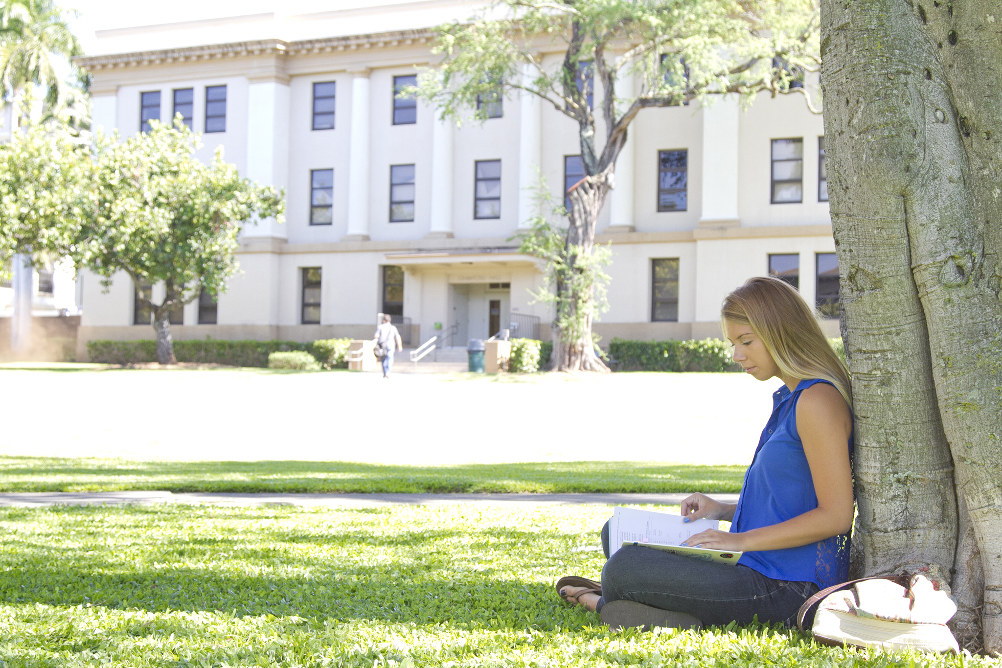 student sitting under a tree