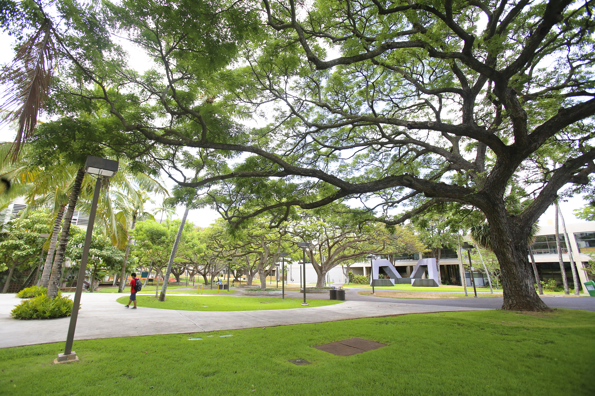 view of the campus